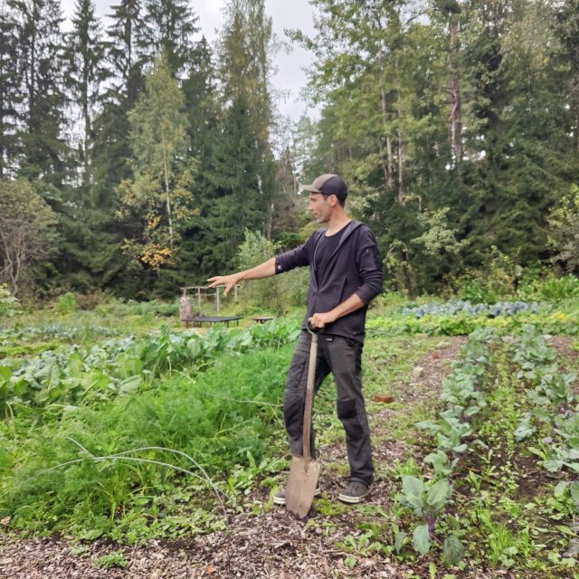 Kimmo Englund esittelee viljelyksiä Uoma Earth Care -puutarhassa